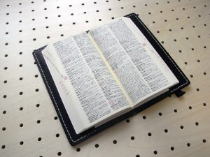 デイリーコンサイス英和・和英辞典カバー(ハンディータイプ)商品画像005:辞書を入れた時の画像です。