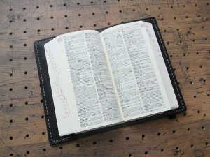 デイリーコンサイス英和・和英辞典カバー(ハンディータイプ)商品画像005:辞書を入れた時の画像です。
